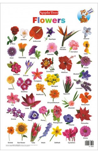 Flowers Chart - (PB)